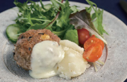 040 大豆とおからのしっかりハンバーグ