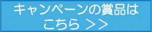 キャンペーン賞品ボタン.jpg