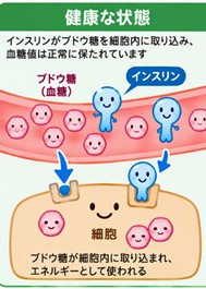 健康な状態.jpg